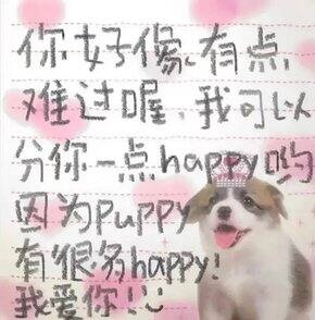 2022年6月购物📝
