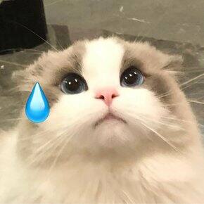 粉裙子开会🌷
