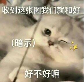 近期购物总结|猫咪用品、猫饭等(附上生骨肉表格