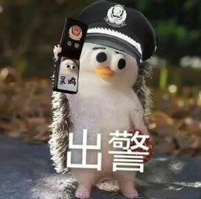 拼嘻嘻购买合集