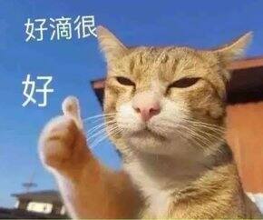 楠子的十月购物分享