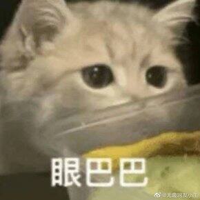 坐等淘宝新势力活动