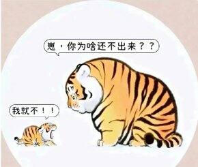 孕期好物2.0