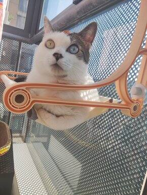 双十一买了啥