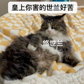 上升➕太阳金牛座的性价比好物分享