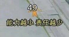 第四单:摩飞锅+吹风机