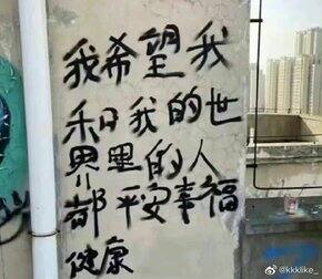 年度pdd 购物总结