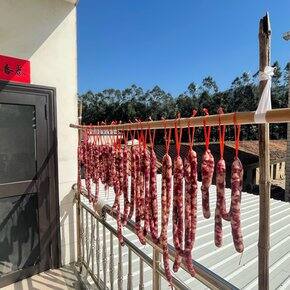 过年前买到了什么好登西❗