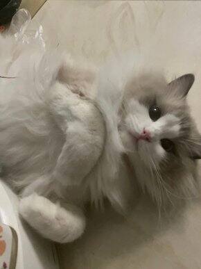 巨型梨形身材,我是如何买裤子的