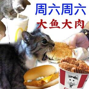 cc的购物清单(春日版)