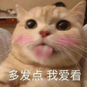 2023买到的一些满意的好东西