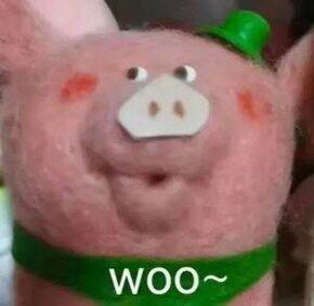 近期购物分享，主要是租房和日用品、包包衣服