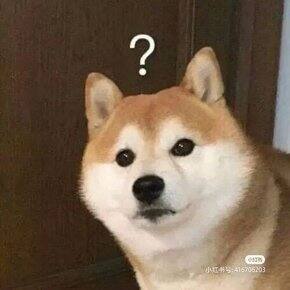 本季度网购到的性价比好物