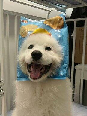 618买买买总结