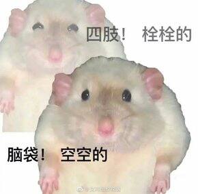 近期的衣物合辑