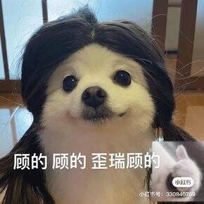 宝藏国货护肤彩妆&日化安利