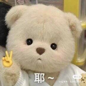 常年染发选手染、护都买了什么