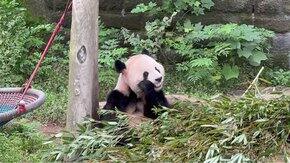 buybuybuy的双十一