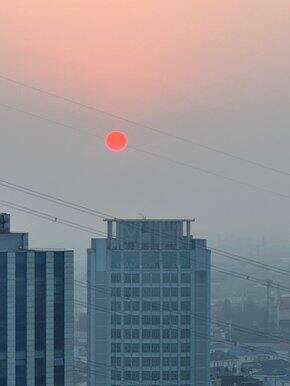 今年攒的空瓶和铁盘