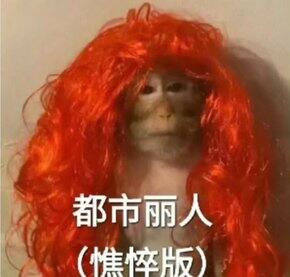 近期购物反馈