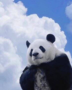 近期购物分享