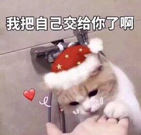发发一季度的买买买好物