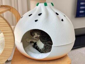 又是一年双十一(买划算+刚需的)