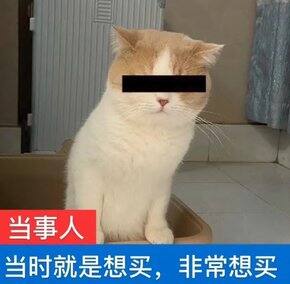 618大买特买