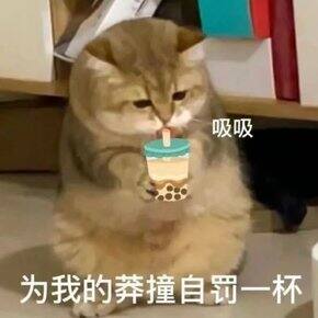 #618第一波购物分享