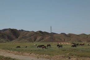 最近买到还不错的东西