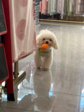 近期购物总结（七十八）