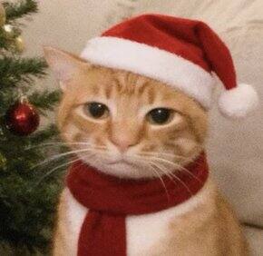 10月购物总结1.0