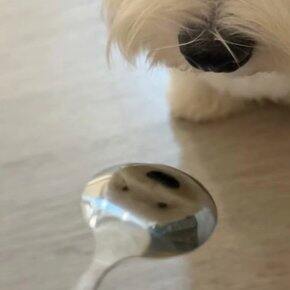 25年后半年的消费分享