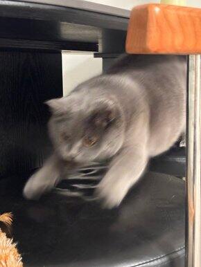 近期购物总结（八十）