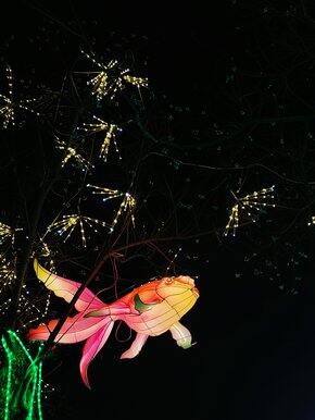 一月二月买了啥