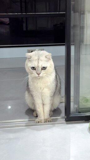 敏感痘肌大干皮的化妆分享