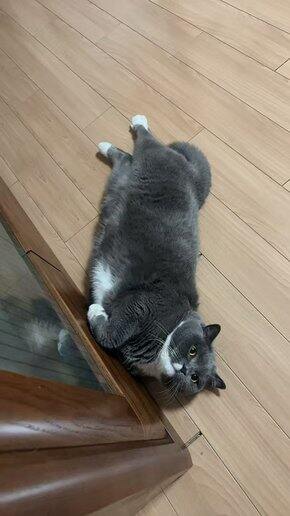 2026第一季好物分享