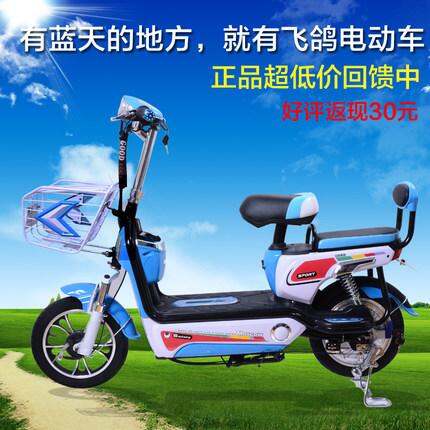 飛鴿正品 48v電動車 電動車 電動自行車 駿馬豪華 踏板車 滑板車