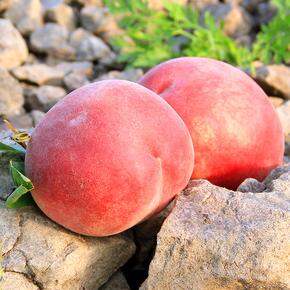 又闲又饿时候的整理路况