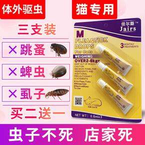 宠物自存