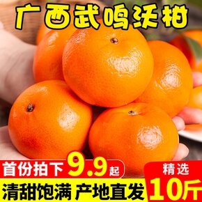 从36页淘宝订单中找到2020最好吃的食物