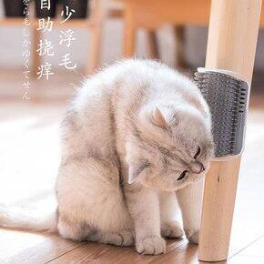 PDD 养猫好物分享