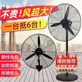 东坡の八月购物总结