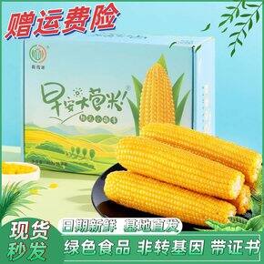 618买了啥