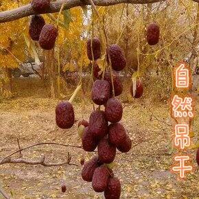 小透明 | 今日值得推荐的20个分享（7月17）